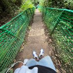 Marvin Hammond - @hammond_marvin - Instagram