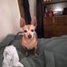 Marvin Harden - Facebook