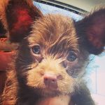 Marvin Hughes Hardin - @marvinthemaverick - Instagram