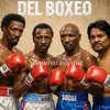 Marvin Harley el boxeador - @...cesarelcarnicero - TikTok