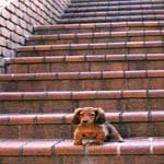 MarvinHauser_ - @marvinhauser_p - Instagram