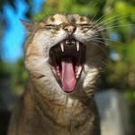 Marvin_headless - @marvin_headless - Instagram