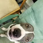 Marvin Hoang - @wind.of.the.heaven - Instagram