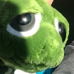 Marvin Hogan-Hauke - @marvin_the_turtle8 - Instagram