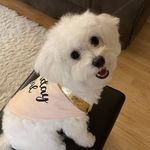 Marvin Huber - @lilothe_burrito - Instagram