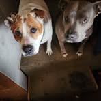Marvin Hunt - Facebook