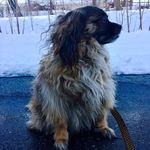 Marvin Jacob - @marvinthemystery - Instagram