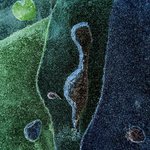 Marvin Jensen - @marvinjensen - Instagram