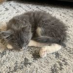 Marvin Tony Jensen-Baer - @marvvvvinnn - Instagram