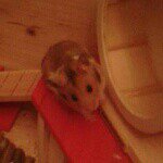 Marvin Ketterer - @marvin_ketterer_13 - Instagram