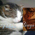 Marvin Ketterer - @marvin.ketterer12 - Instagram