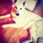 Marvin kopper - @kopp_marvin - Instagram