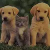 marvinkopp - @marvinkopp - TikTok