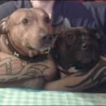 Marvin Leonard Reece Barker - @marvinbarker420 - Instagram