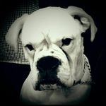 Marvin Lübbe - @marvin_luebbe - Instagram