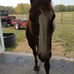 Beverly Marvin Maples - Facebook