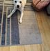 Marvin Marion - Facebook