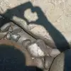 marvin - @marvin.melara - TikTok