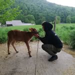 Marvin Meyer - @marvins_farmlife - Instagram