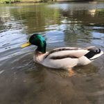 Marvin Monroe - @rea.mde_news_ - Instagram