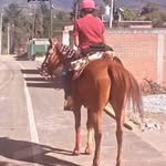 Marvin Montes - @marvinmontes564 - Instagram