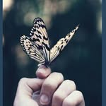 @marvin.moon - Instagram