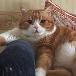 Marvin & Moon - @marvin_and_moon - Instagram