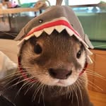 @marvin_moon_ - Instagram