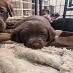@marvinmoonthelab - Instagram