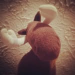 Marvin Merle Moose - @marvinmerlemoose - Instagram