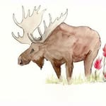 Marvin Moose - @moose.marvin - Instagram
