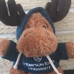 Marvin Moose - @marvinmoose - Instagram