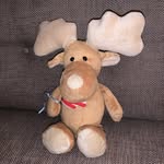 Marvin The Moose - @marvin_the_moose66 - Instagram