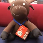 Marvin The Moose - @marvin_the_moose_ - Instagram