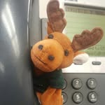 Marvin The Moose - @moosestories - Instagram