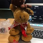 Marvin The Moose - @marvinthemoose_ - Instagram