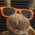 Marvin The Moose - @marvin_the_moose_on_the_loose - Instagram