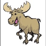 Marvin The Moose - @who.is.marvin_ - Instagram
