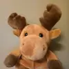 marvinthemoose - @marvinthemoose0 - TikTok