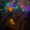 MarvintheMoose - @marvin.the.moose0 - TikTok