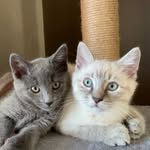 Moose + Marvin - @moose_and_marvin - Instagram