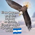 Marvin Moraga - @marvinmoraga1975 - Instagram