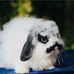 Marvin Orr - Facebook