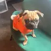 Marvin Paredes - @marvin.paredes45 - TikTok