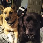 @marvinpenny - Instagram