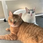 Piper & Marvin - @piperandmarvin - Instagram