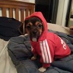 Marvin Qualls - @quallsmarvin - Instagram