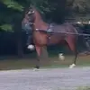 Marvin Raber - @marvin.raber - TikTok