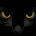 Marvin Rayburn - Facebook