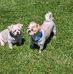 Marvin Raymond - Facebook
